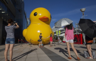 Illustration for article titled In China, There Are Too Many Giant Rubber Duck Rip-Offs